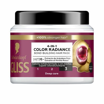 GLISS COLOR Perfector Maske 400 ml