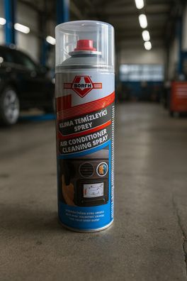 Klimaanlagenreiniger - Entfernt Gerüche & Bakterien, sorgt für frische Luft (400 ml)