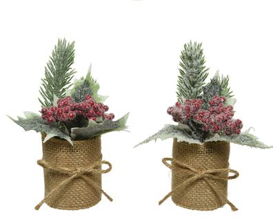 Tanne mit Stechpalme und Beeren im Jute Topf 15cm, 1 Stück sortiert