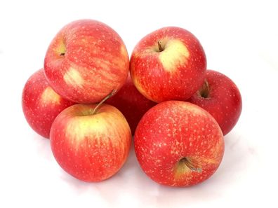Äpfel Pinova aus Deutschland/Bodensee süß-säuerlicher Apfel saftig fest 1-10 KG