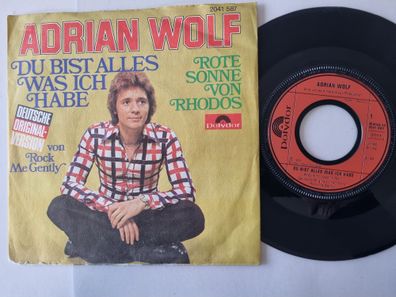 Adrian Wolf - Du bist alles was ich habe 7'' Vinyl/ CV Andy Kim - Rock me gently