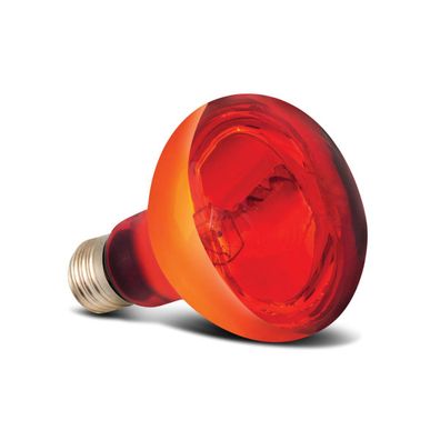 Arcadia - Infrarot Wärmelampe, E27 - 150W