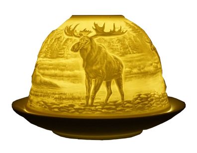 Dome Light Elche Elch