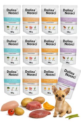 Dolina Noteci Kleine Rassen Mix der Geschmacksrichtungen 12×100 g