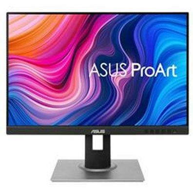 ASUS PROART PA248CNV 24 1IN Asus1IN Asus 1IN IPS (90LM05K1-B03370)