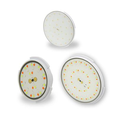 Trend Pool LED Leuchtmittel DVM | RGB | versch. Ausführungen