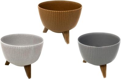 Gewächshaus Kunststoff Hochbeet Treibhaus Frühbeet Blumenkasten Grau