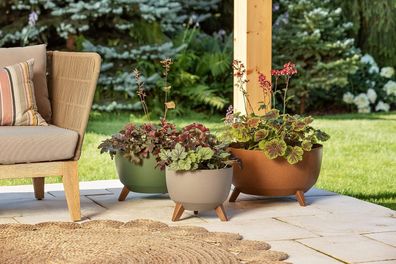 Gewächshaus Kunststoff Hochbeet Treibhaus Frühbeet Blumenkasten Grau