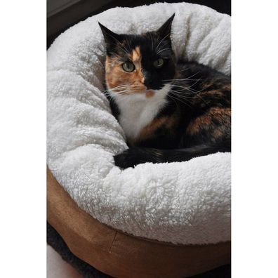 AFP Lambswool Katzenbett Donut Bed TAN