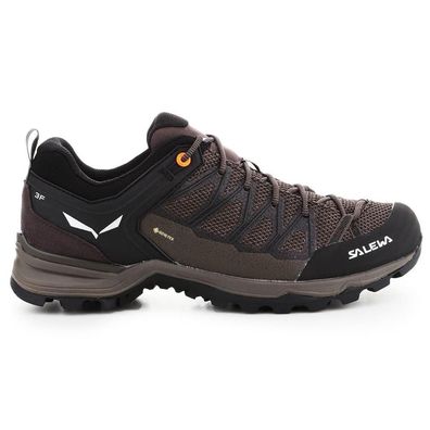 Sportschuhe Salewa Mtn Lite fér Herren, schwarz