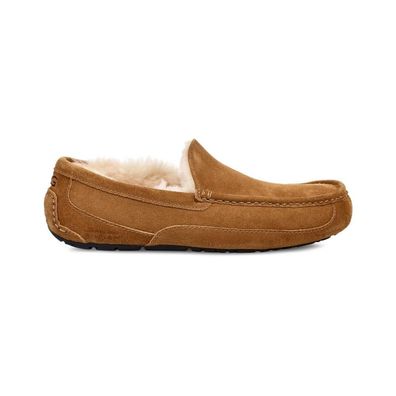 Hausschuhe UGG Ascot braun