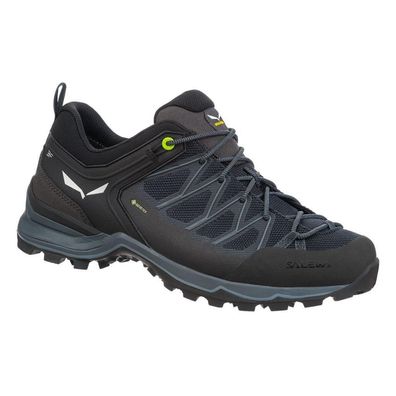 Sportschuhe Salewa Mtn Trainer Lite Gtx schwarz