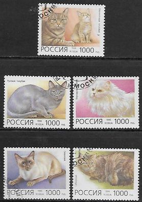 Russland gestempelt Michel Nummer 485-489