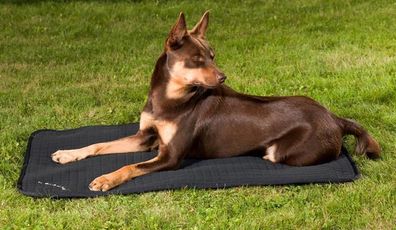 Back on Track Hundematratze Allround