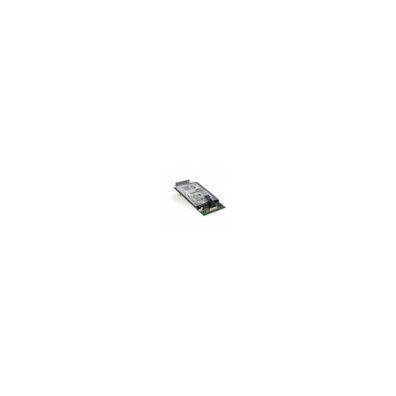 Interne Festplatte Lexmark 320 GB