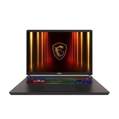 Laptop MSI Vector 17 HX AI Gaming 17 Zoll QHD+ 240Hz
