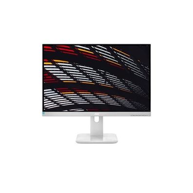 Monitor AOC P1 X24P1/GR 24 Zoll WUXGA IPS