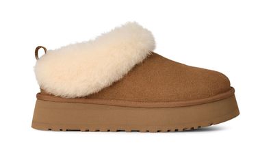 Schuhe UGG Tazzelle Komfortable Slipper aus Veloursleder