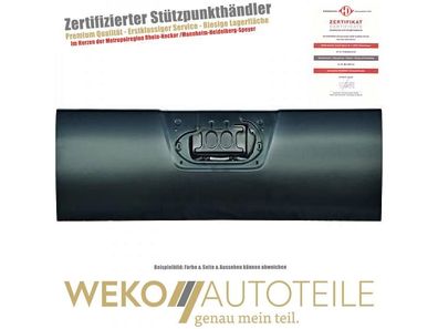 Hecktür Diederichs 6084028 passend für NISSAN