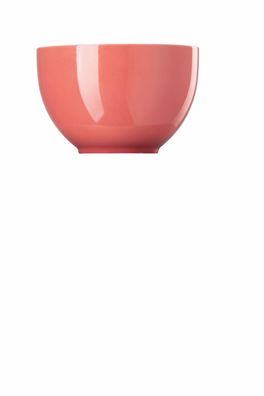 Thomas Müslischale Sunny Day Soft Red Porzellan Rot 10850-408601-15456