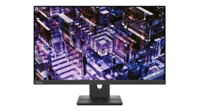 Lenovo ThinkVision E24q-30 - LED-Monitor - 61 cm (24")