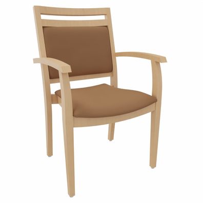 Seniorenstuhl Georg mit Griffleiste - SG224-0004N