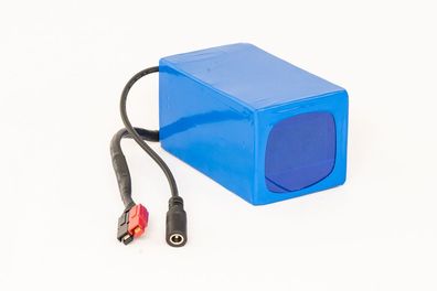 Lithium-Ionen Akku 12V 5Ah 60Wh Akkupack incl. 10A BMS & Ladegerät für E-Bike Scooter