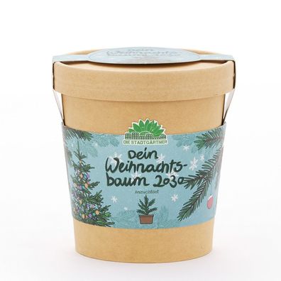 Weihnachtsbaum 2030 aus dem Becher â€? Anzuchtset mit Fichten-Saatgut, Quelltablette