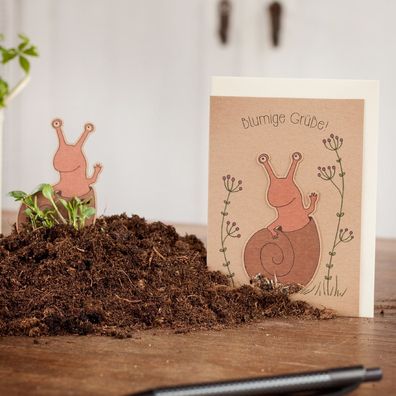 Grußkarte â€?Schneckeâ€? â€? Pflanzbare Karte mit Saatstecker & Blumensamen â€? DIN A