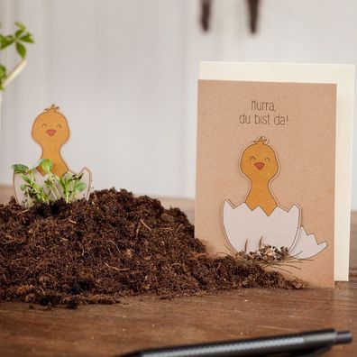 Geburtskarte â€?Hurra, du bist daâ€? â€? Pflanzbare Karte mit Saatstecker & Blumensam