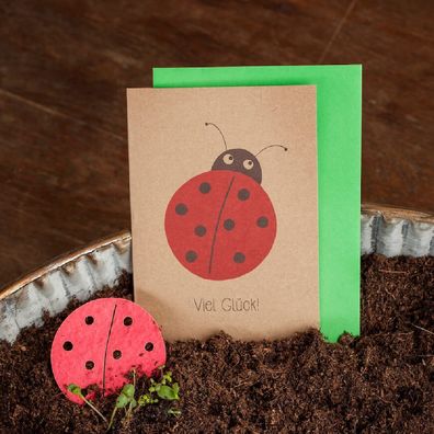 Grußkarte â€?Viel Gléckâ€? â€? Wachsende Gléckwunschkarte mit Marienkäfer-Motiv aus S