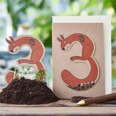 Geburtstagskarte â€?Dreiâ€? mit Saatstecker â€? Pflanzbare Grußkarte mit Blumensamen