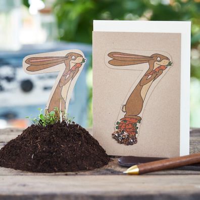 Geburtstagskarte Sieben â€? Pflanzbare Grußkarte mit Saatstecker & Umschlag â€? Nachh