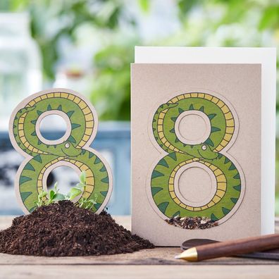 Geburtstagskarte Acht â€? Pflanzbare Karte mit Saatstecker & Umschlag â€? Nachhaltige
