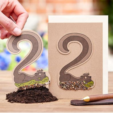 Geburtstagskarte "Zwei" â€? Pflanzbare Grußkarte aus Saatpapier mit Wildblumensamen â