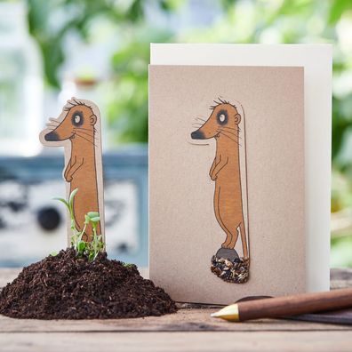 Geburtstagskarte Eins mit Saatstecker â€? nachhaltige Klappkarte aus Saatpapier DIN A