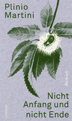 Nicht Anfang und nicht Ende | Roman einer Rückkehr | Plinio Martini | Buch