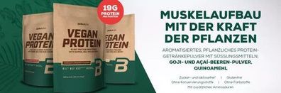 Vegan Protein Pulver 500g