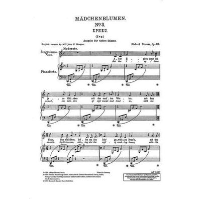 Mädchenblumen op. 22/3 (Strauss) - Singstimme (tief) und Klavier Noten (PoD)