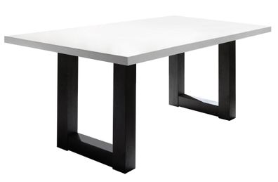 Esszimmertisch Eila 8 140 x 90 x 75 Esstisch Schwarzstahl/Weiß Matt