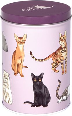 Vorratsdose Katzen - I love cats & dogs, I love cats, Die Spiegelburg, 22850