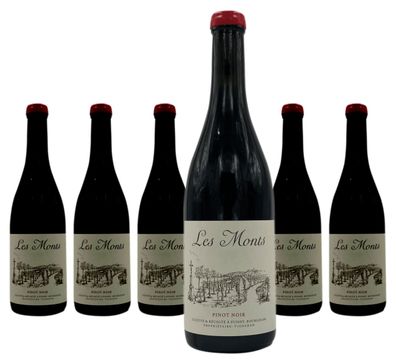6 x Les Monts Bourgogne Hautes Côtes de Beaune Rouge – 2023