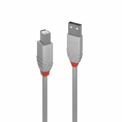 USB 2.0 Kabel Anthra Line, USB-A Stecker > USB-B Stecker (grau, 2 Meter)