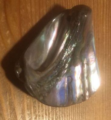 Abalone Anhänger - gebohrt - SP-280 - 4,5 × 4,0 × 1,1 cm - Unikat