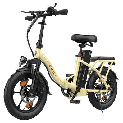 Tiefeinsteiger City E-bike mit 16 Zoll breiten Reifen 36V 13Ah Akku Gepäckträger