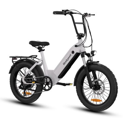 20-Zoll All-Terrain Tourenrad E-Bike mit 250W 48V 15Ah Akku bis 90km Reichweite