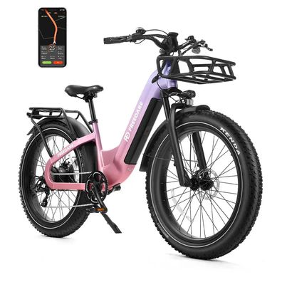 26-Zoll Damen E-Bike Citybike mit BAFANG 250W Motor 48V 20Ah Samsung Akku, Fat Tires
