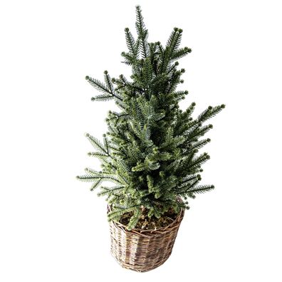 B&S Weihnachtsbaum Kunsttanne im Flechtkorb H 66 cm