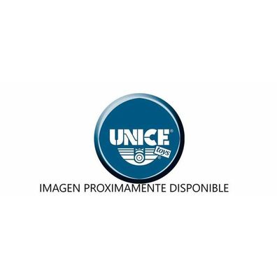 Fahrzeug Fernsteuerung Unice Toys