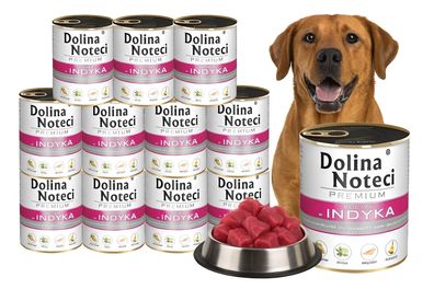 DOLINA NOTECI Premium Nassfutter für Hunde, reich an Pute, 12×800 g Dosen